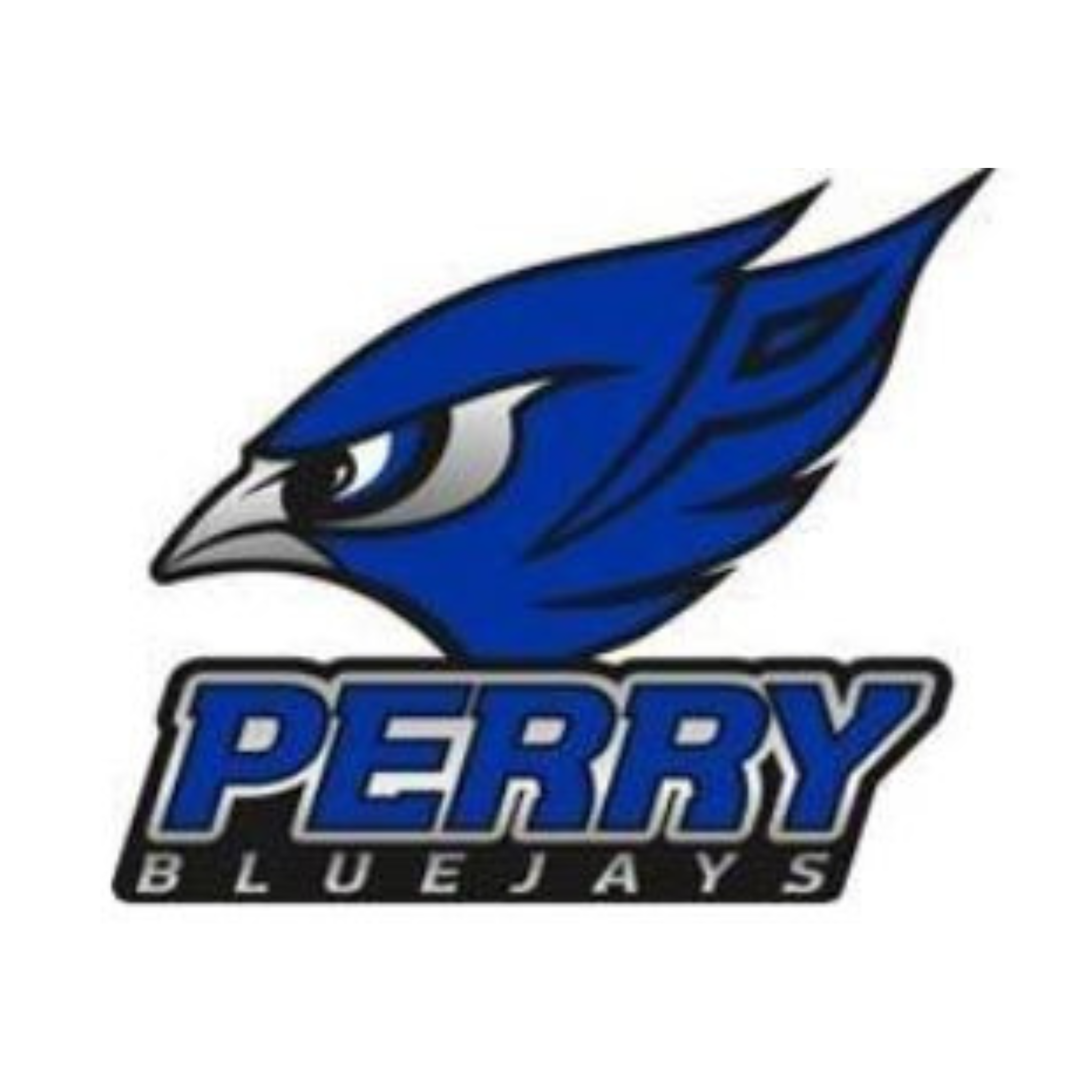 Perry High School Dance Team