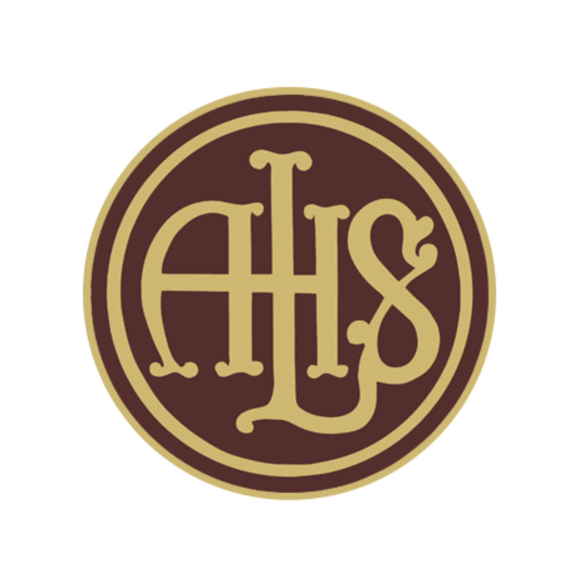 Des Moines Lincoln Dance Team