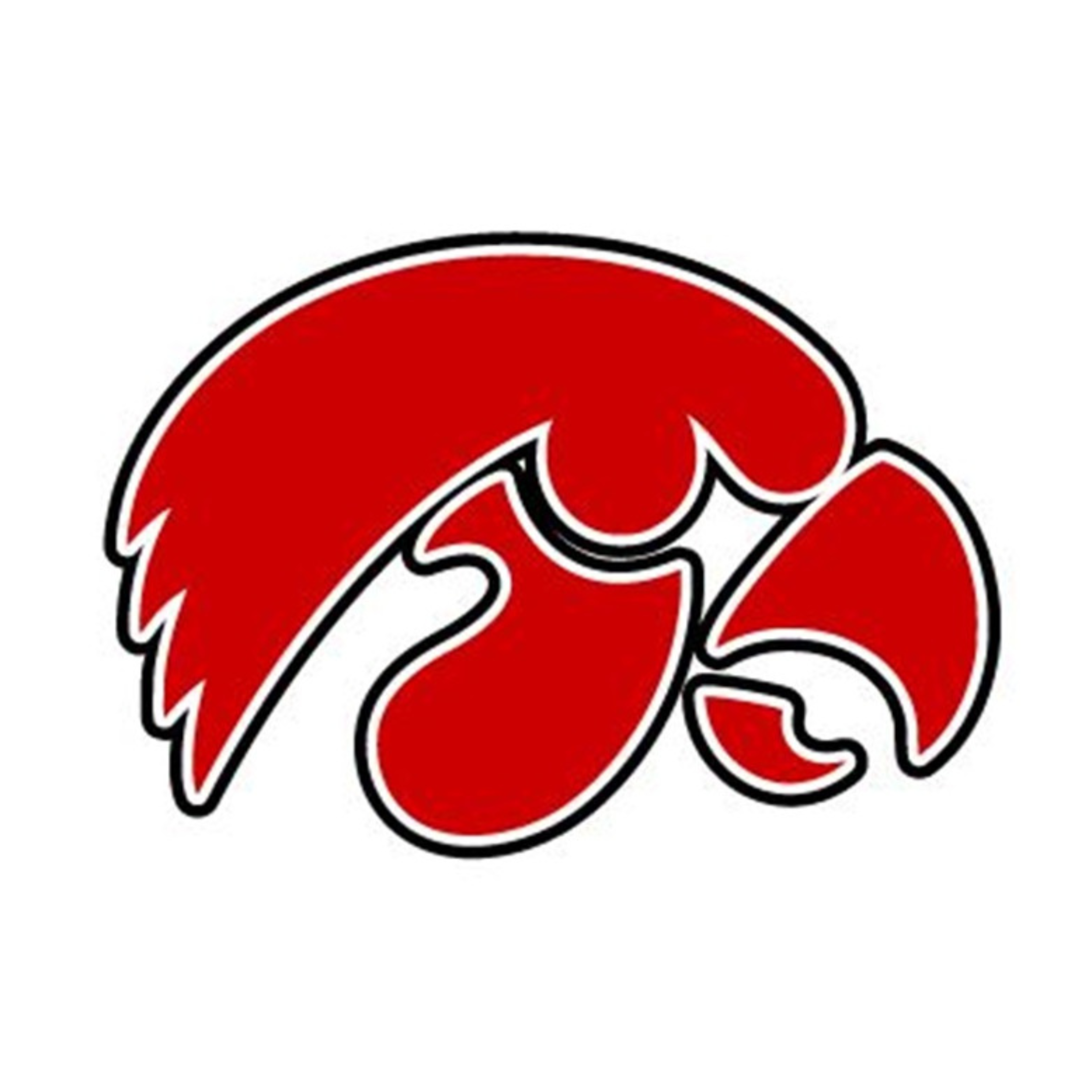 Iowa City High Dance Team