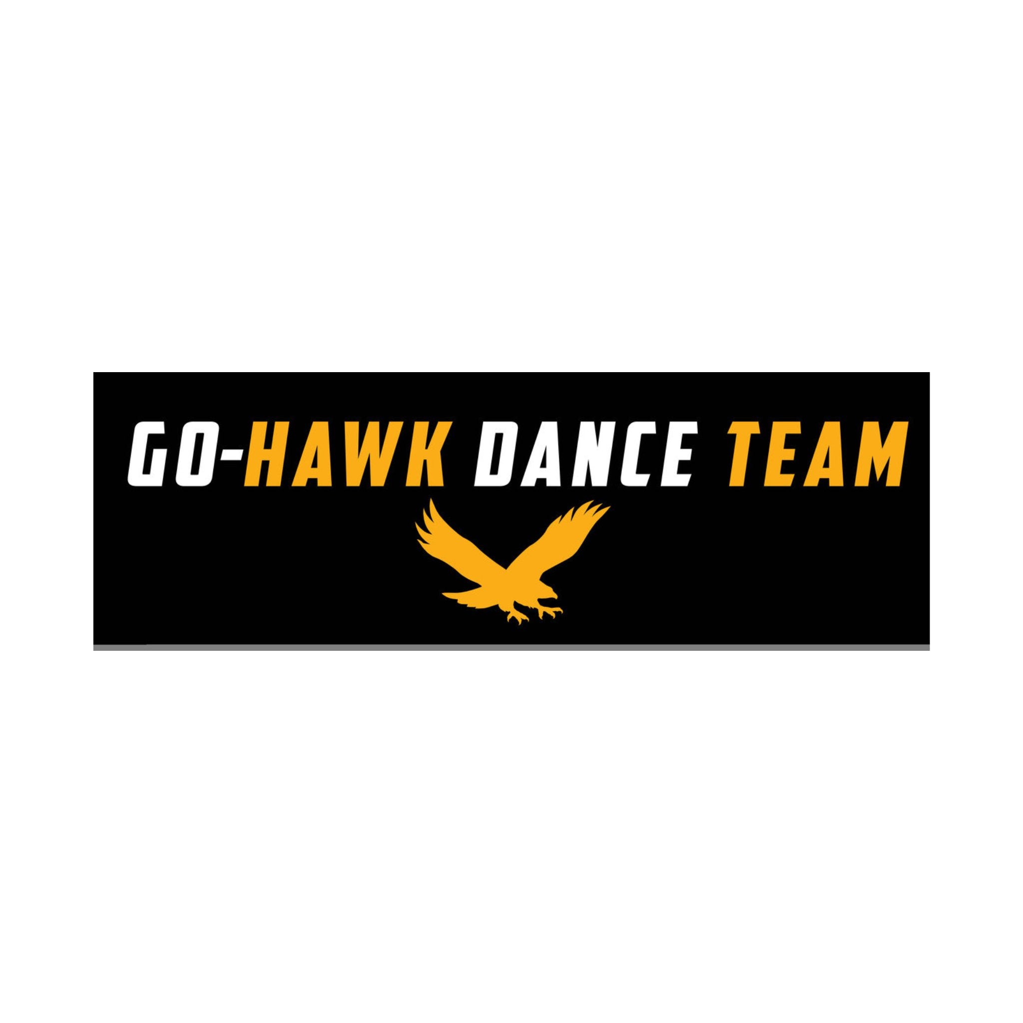 Waverly Shell Rock Dance Team