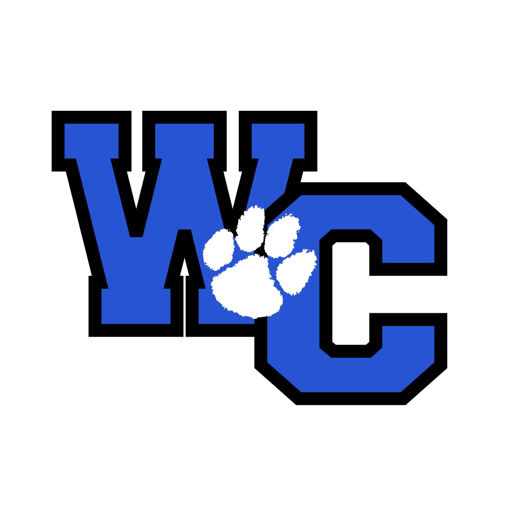 Woodbury Central Dance Team