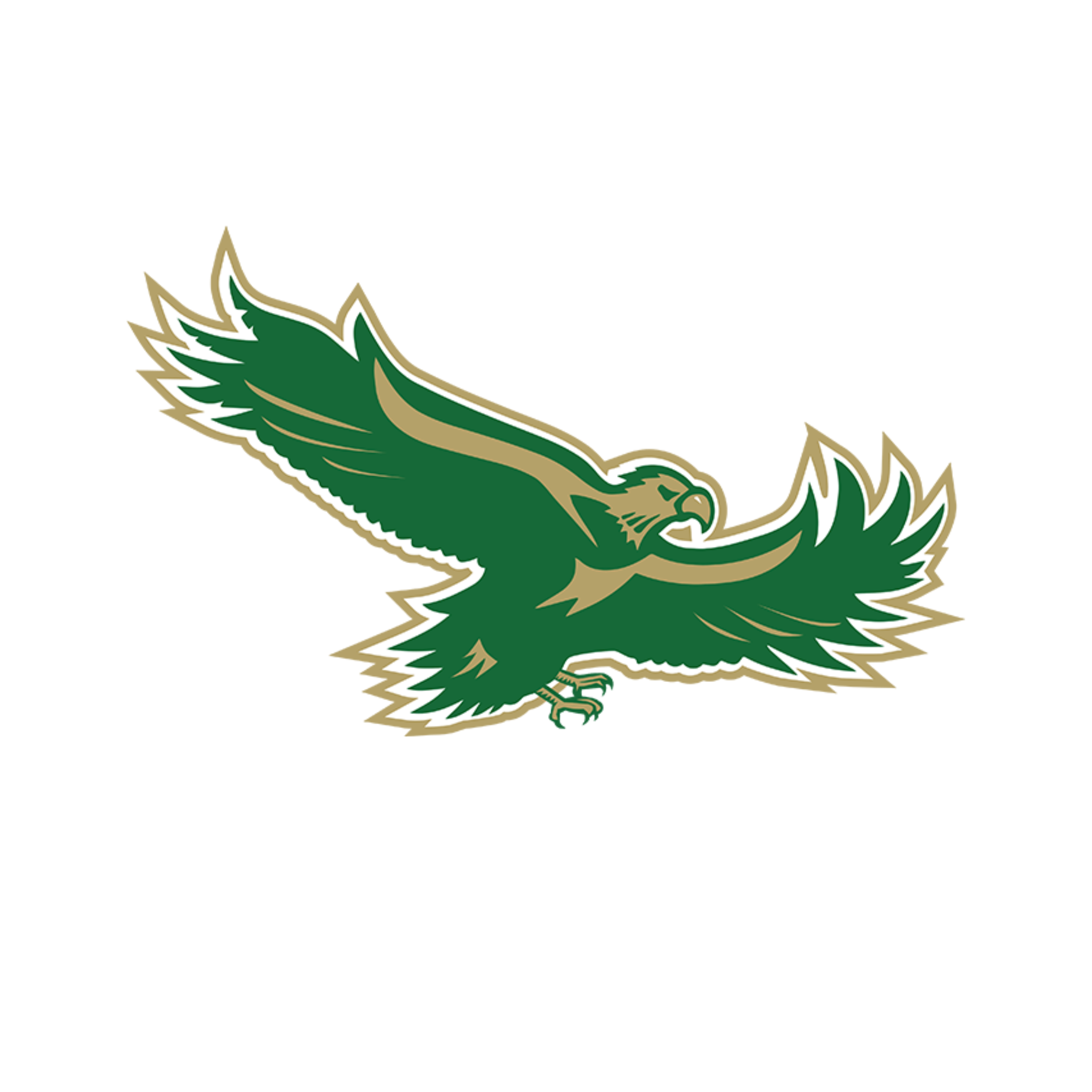 Woodward-Granger Dance Team