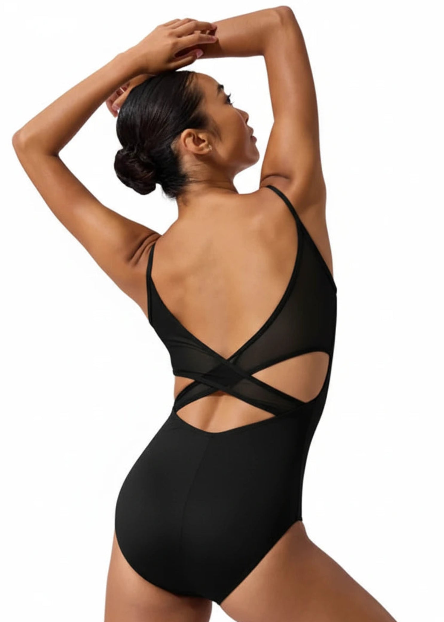 Kordes Leo Black back view
