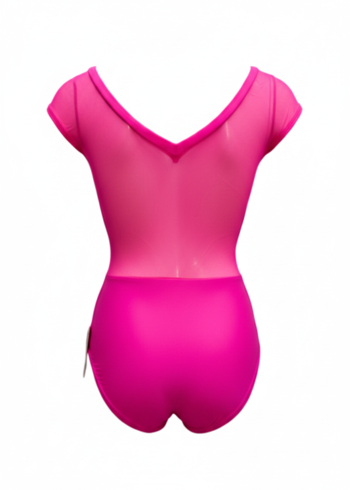 Abigail Leotard Pink back view