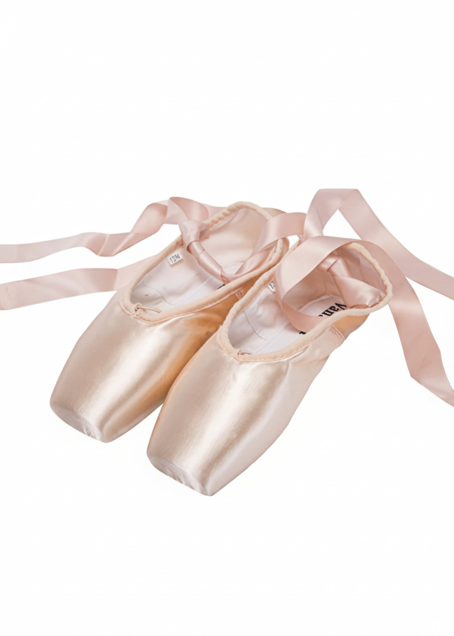 Single Pointe Shoes