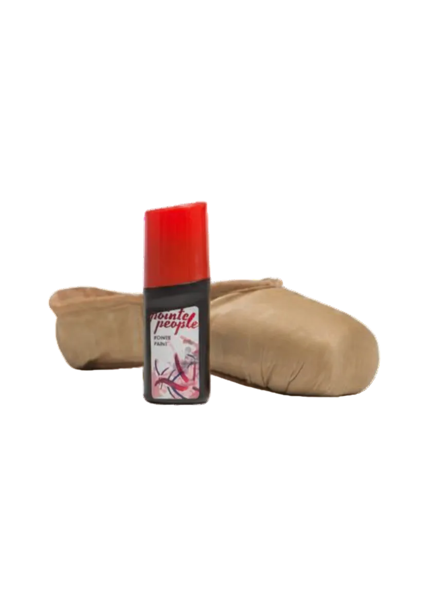 Fabric Pointe Shoe Paint