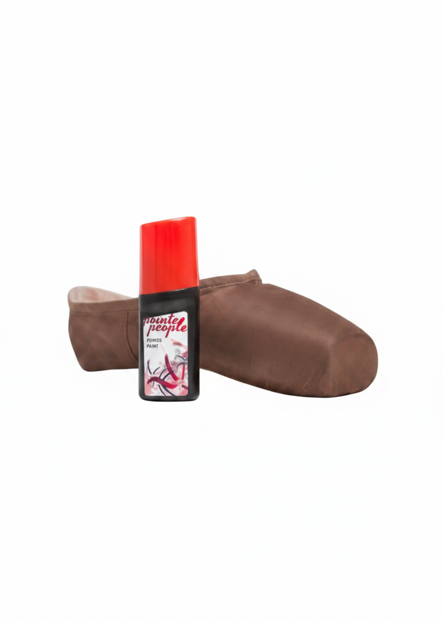 Fabric Pointe Shoe Paint