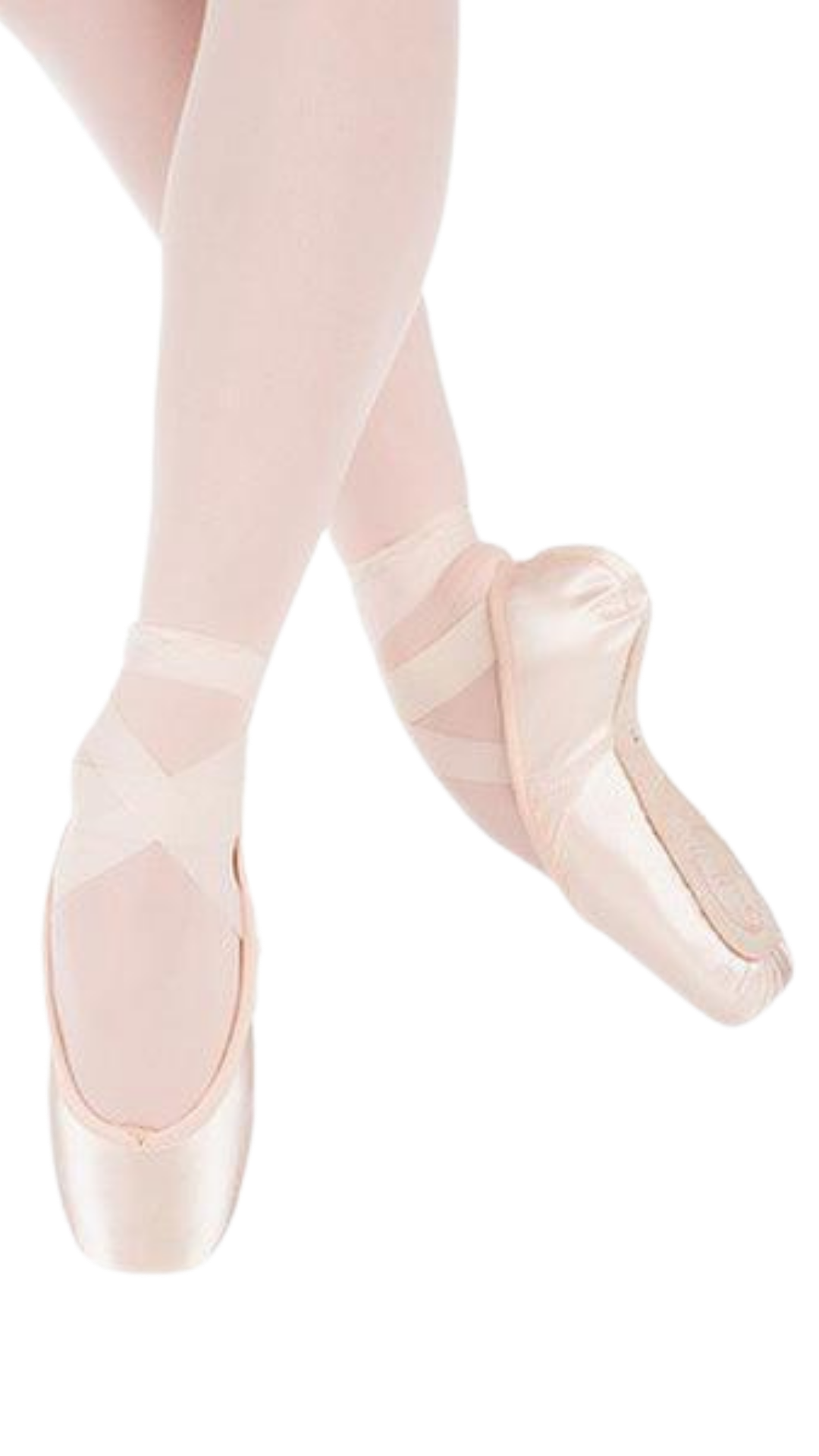 Spotlight Pointe Shoe (Standard Shank) | Mark's Dancewear