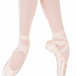 Stellar Pointe Shoe
